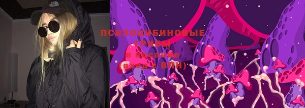 спайс Баксан