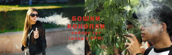 спайс Баксан