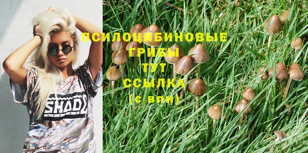 метадон Балабаново