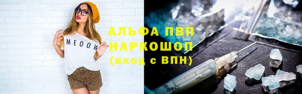 спайс Баксан