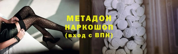 спиды Тайга