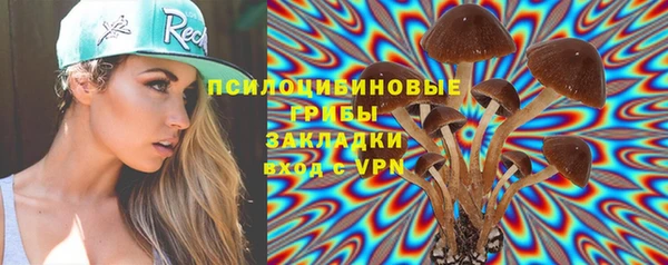 спайс Баксан